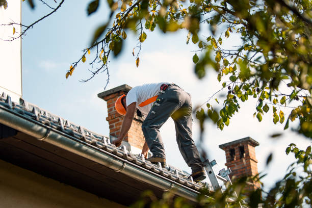 Best Rubber Roofing (EPDM, TPO)  in Lockport, IL