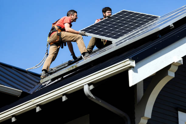 Best Roof Moss and Algae Removal  in Lockport, IL