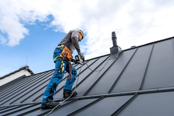 Best Metal Roofing Installation  in Lockport, IL